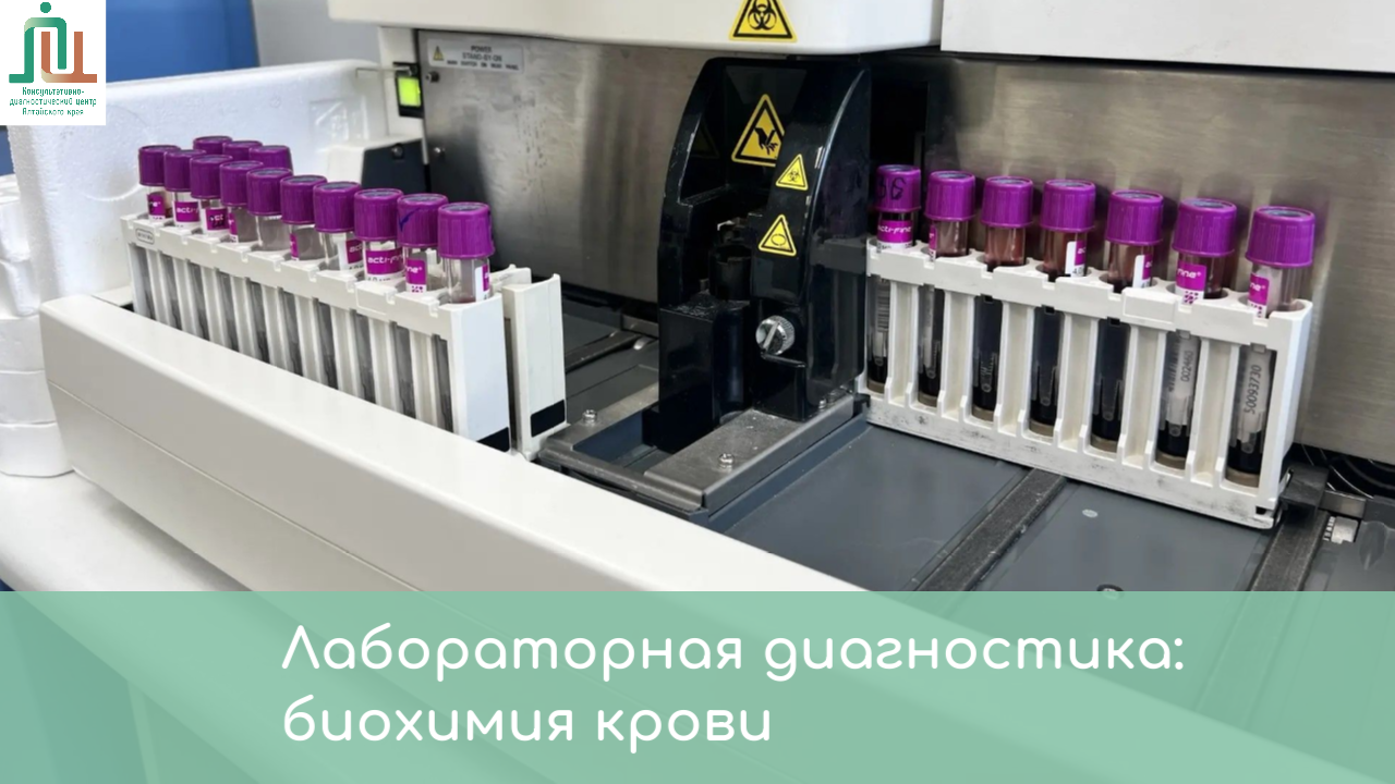Лабораторная диагностика: биохимия крови