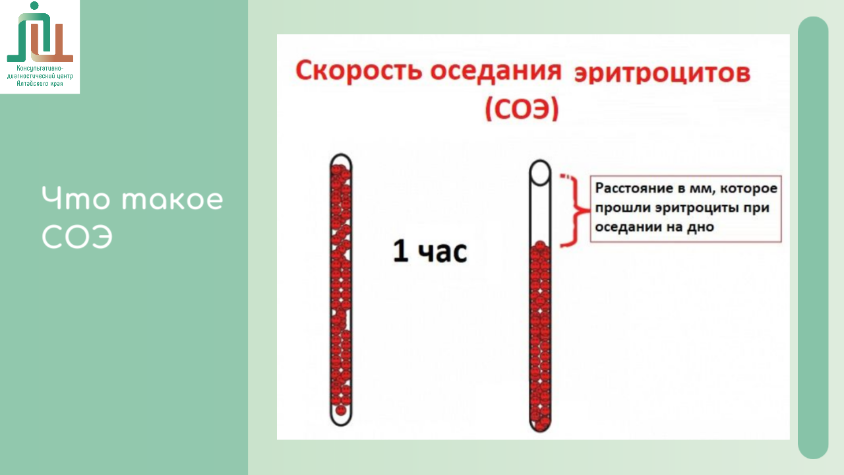 Что такое анализ крови на СОЭ?